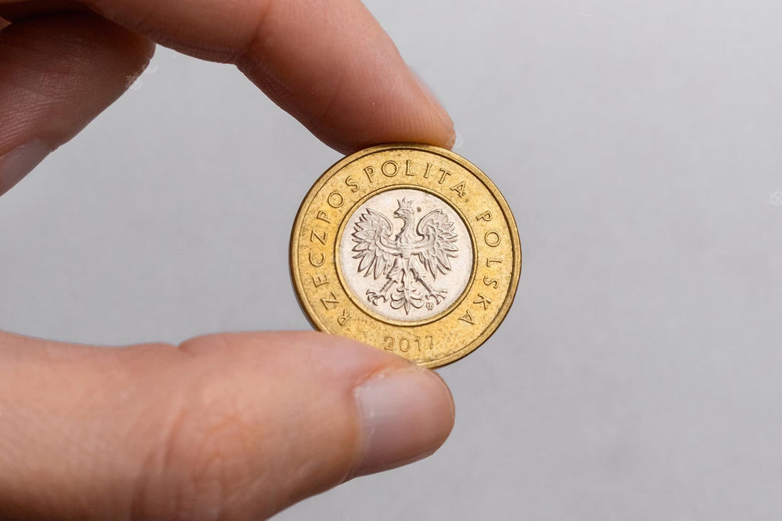 Polskie Monety: Od Królów do Rzeczypospolitej – Świadectwa Historii