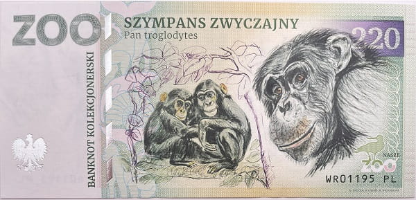 Banknot Szympans zwyczajny zoo Wrocław