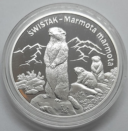 Moneta 20 zł Świstak 2006