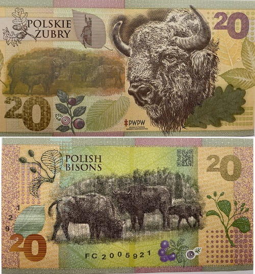 Polskie Żubry PWPW 2019 r. banknot testowy
